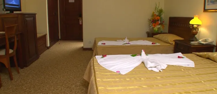 Фото отеля Antik Hotel