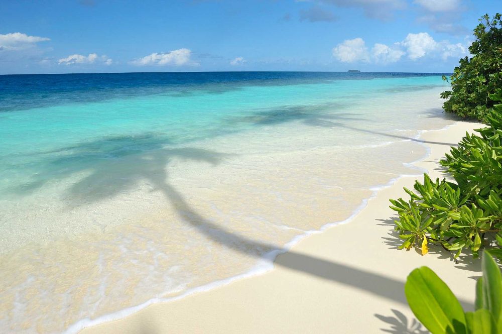 Robinson Club Maldives (Adults Only) фото 28