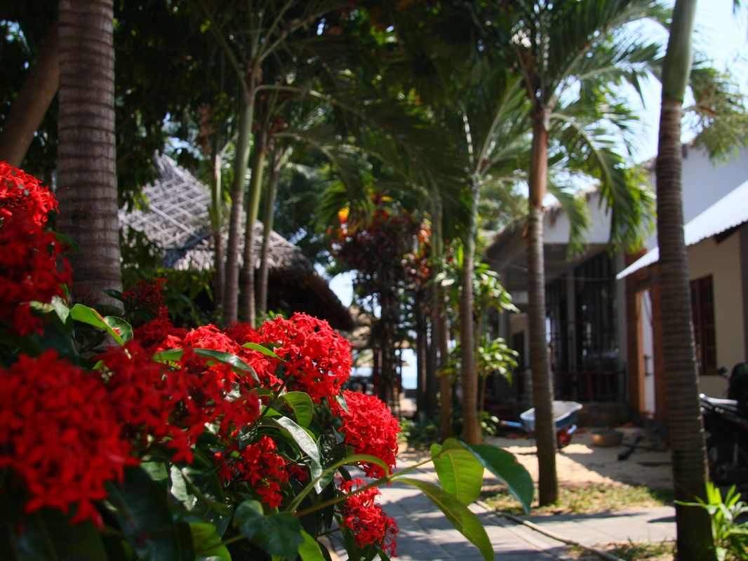 Mai Am Guest House фото 25