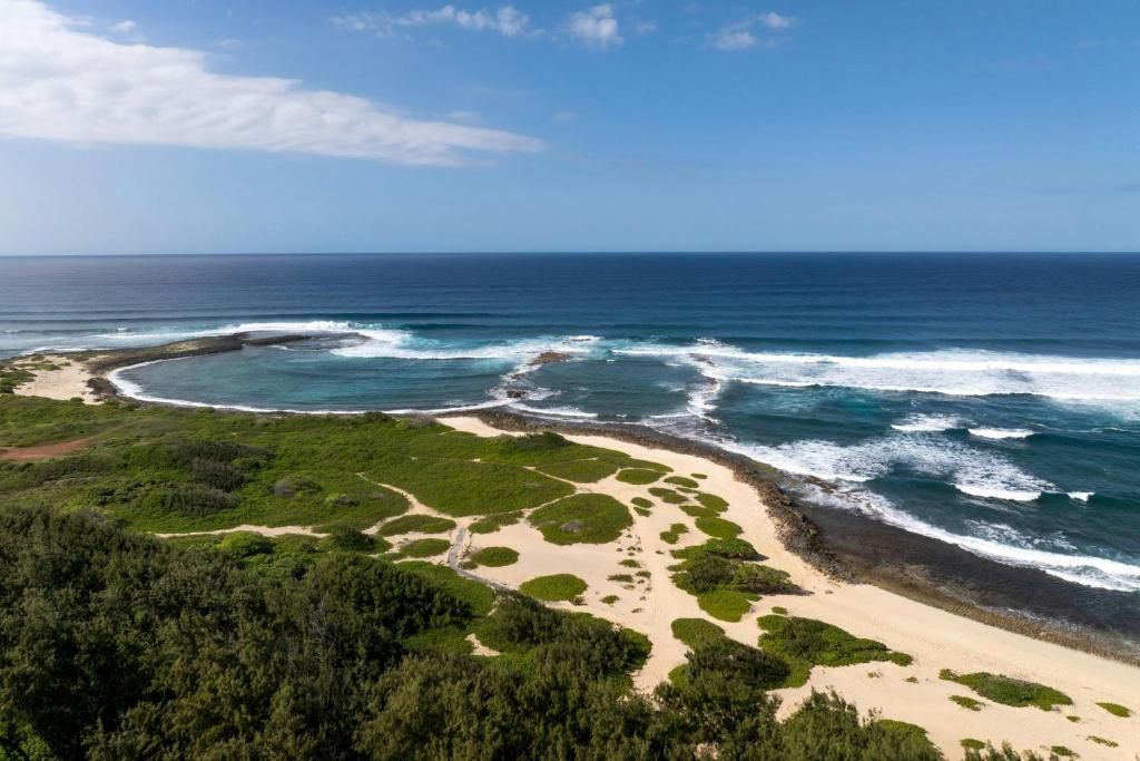 Turtle Bay Resort фото 36