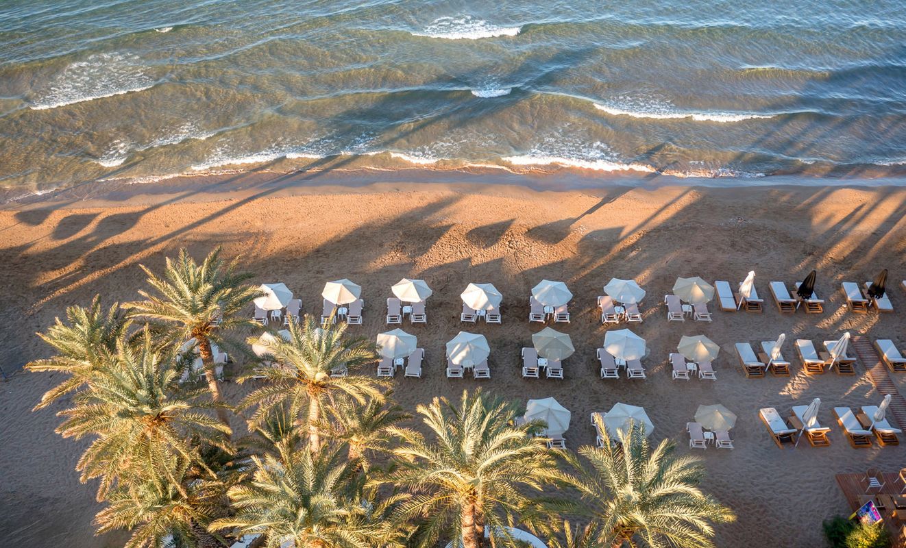 Zeus Hotels Palm Beach фото 6