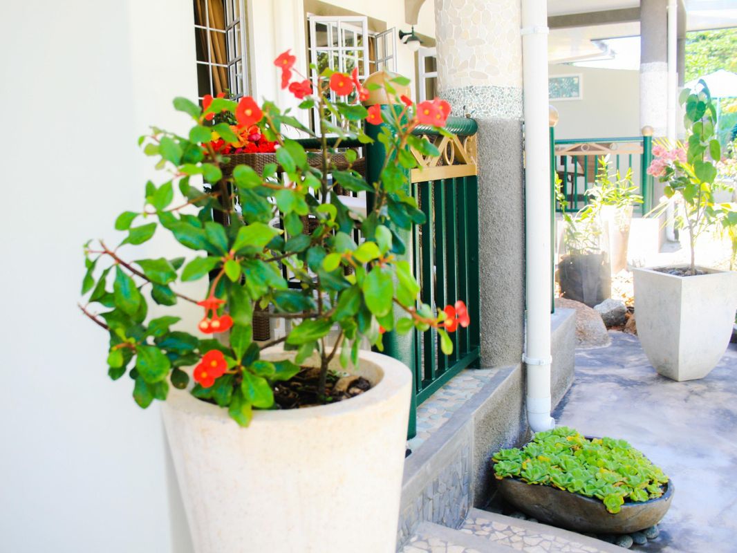 Maison Charme De L'ile фото 18