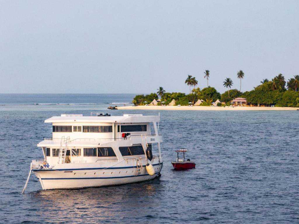 Guest House «The Maverick Surf & Dive Lodge Guest House» фото 37