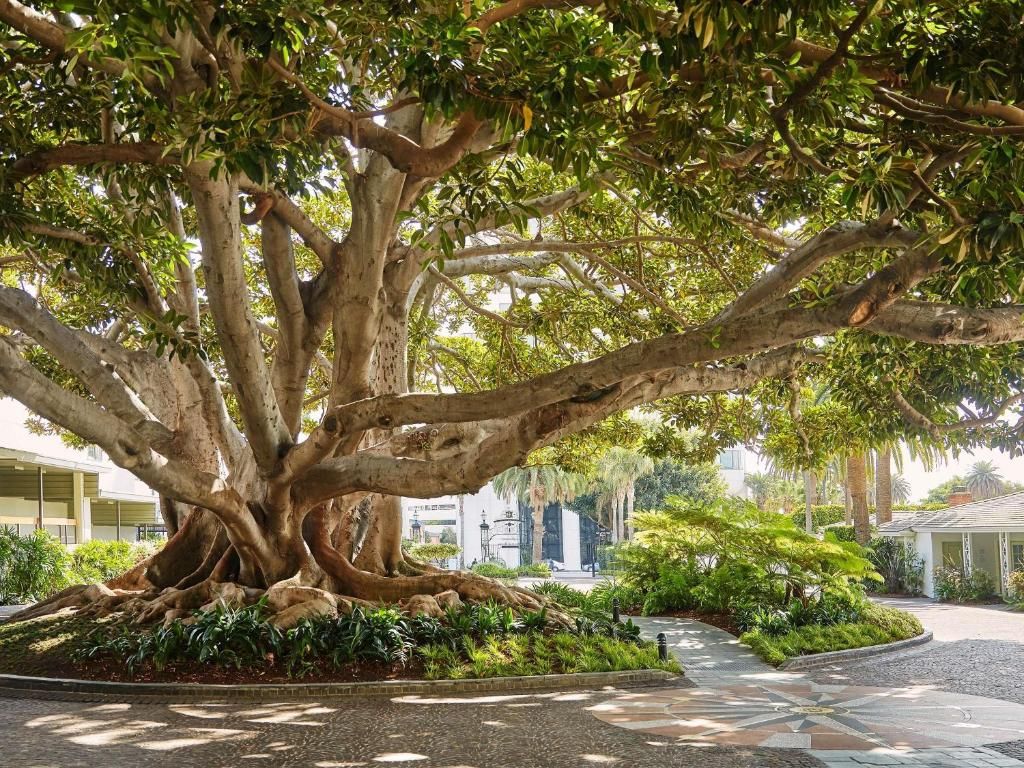 Fairmont Miramar Hotel & Bungalows фото 17
