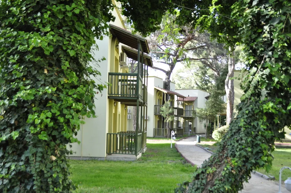 Gypsophila Club Marine фото 94