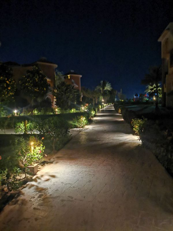 Parrotel Lagoon Waterpark фото 85