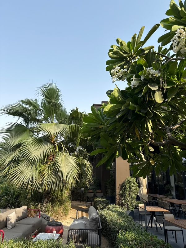 Movenpick Resort Al Marjan Island фото 71