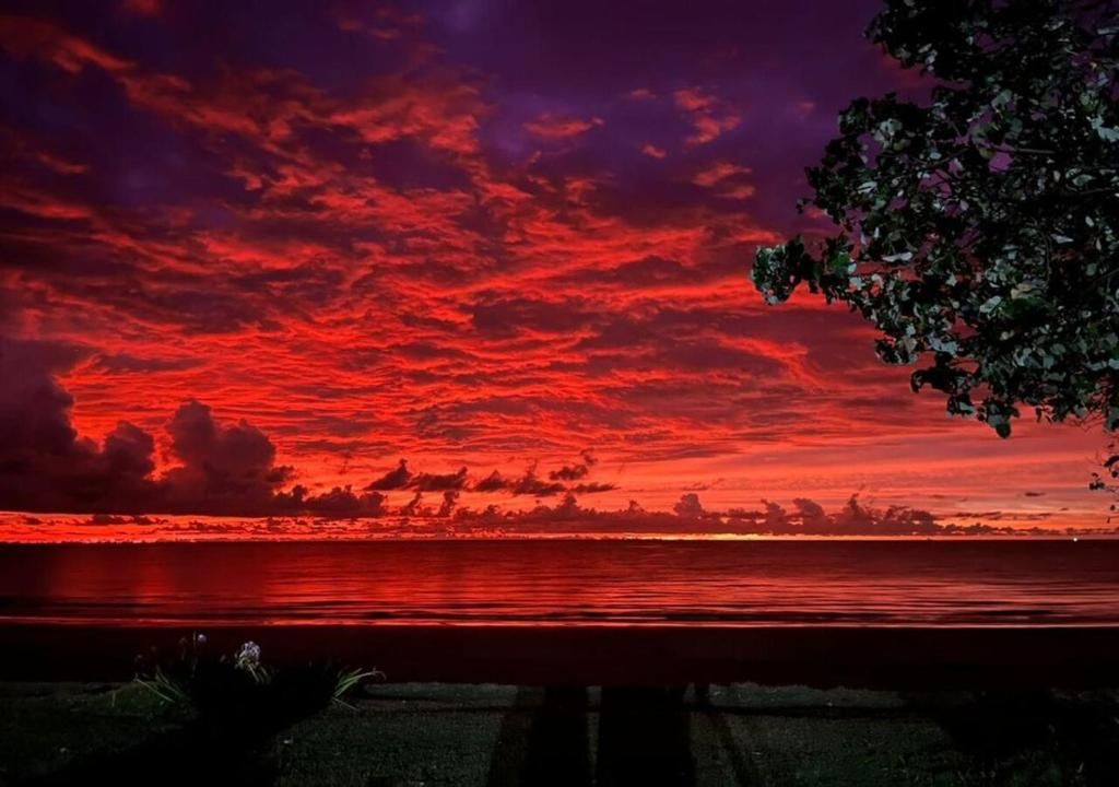 Borneo Beach Villas фото 61