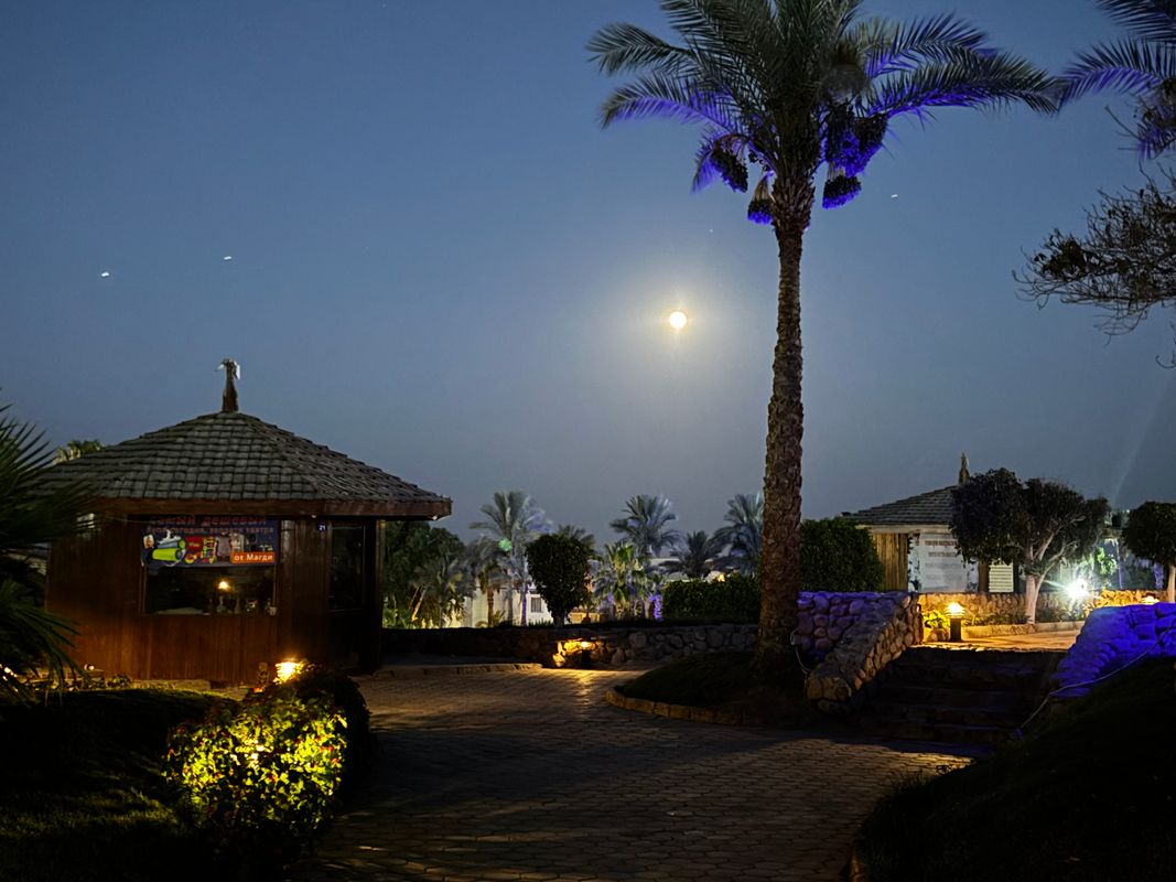 Queen Sharm Resort фото 104