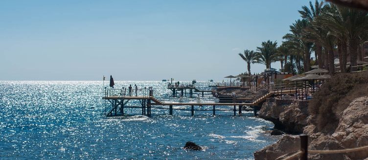 Фото отеля Grand Rotana Resort & Spa