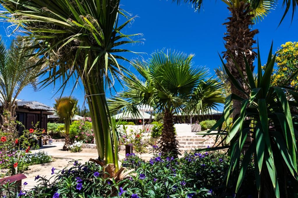 Abu Dabbab Lodge фото 30