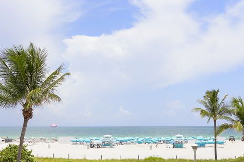 Ritz Carlton South Beach фото 46