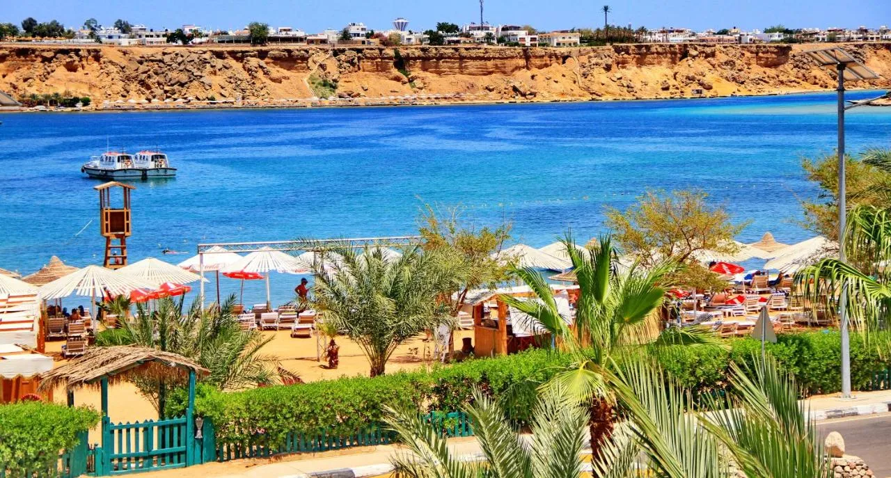 Turquoise Beach Hotel фото 12