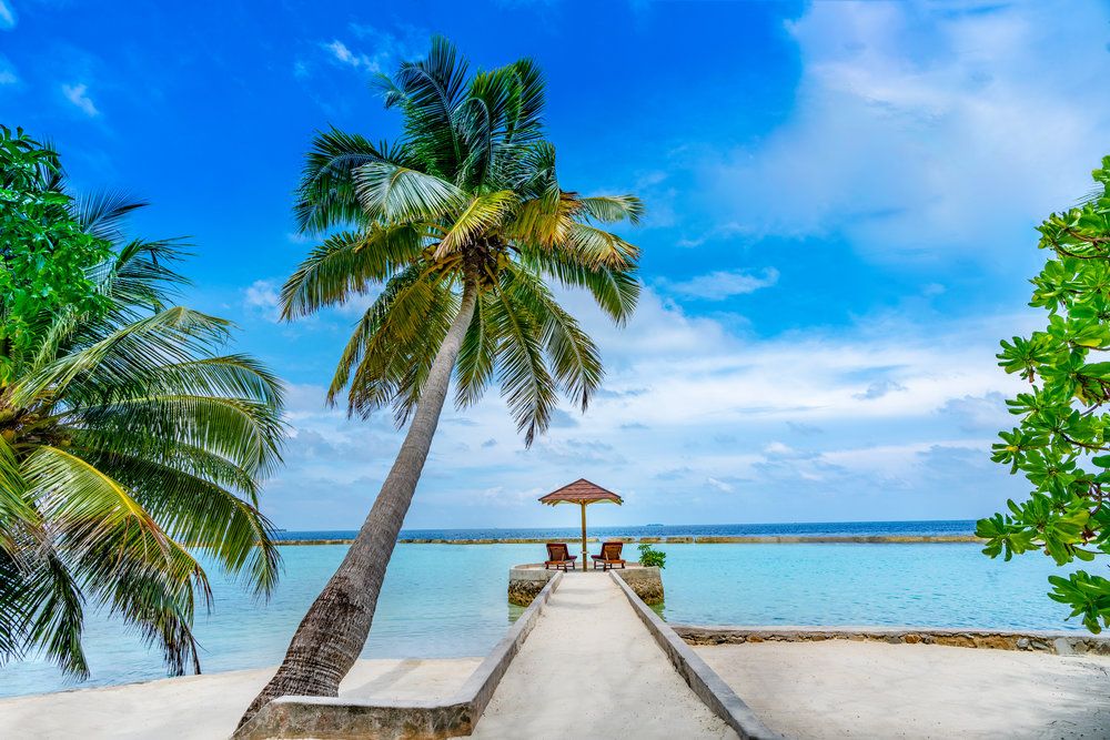 Ellaidhoo Maldives by Cinnamon фото 60