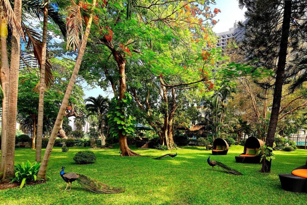 Royal Orchid Sheraton Hotel & Towers фото 52