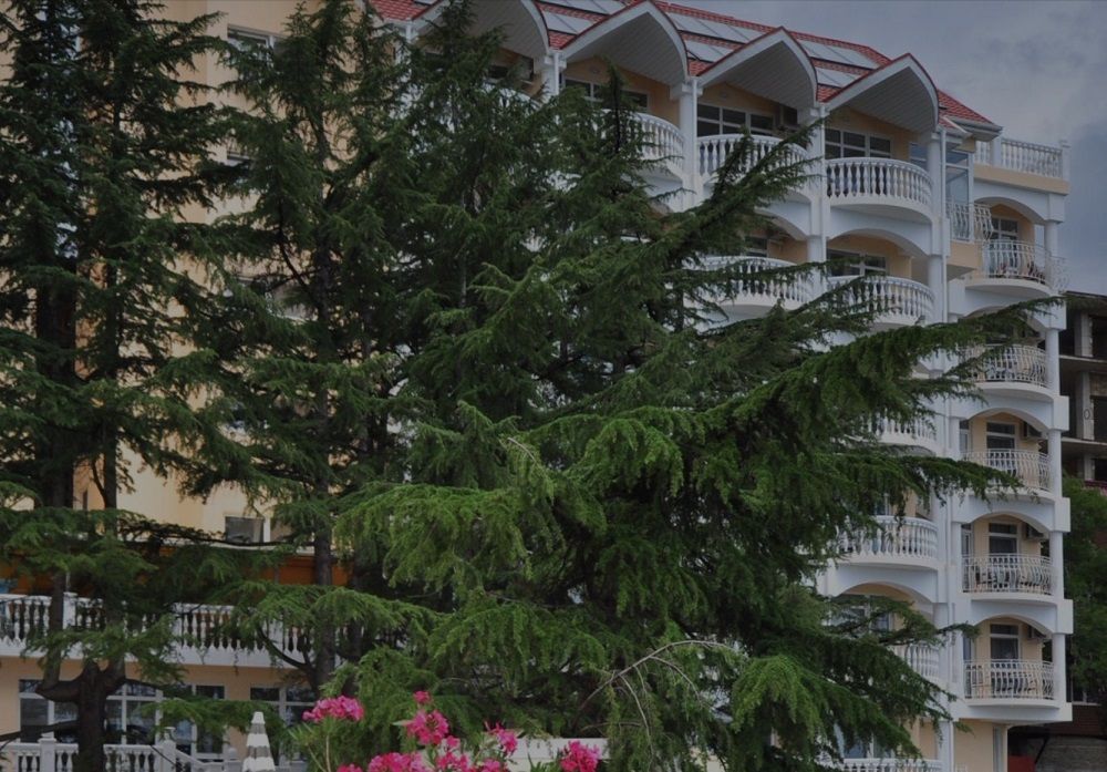 Гостиница «Блюмарин» фото 37