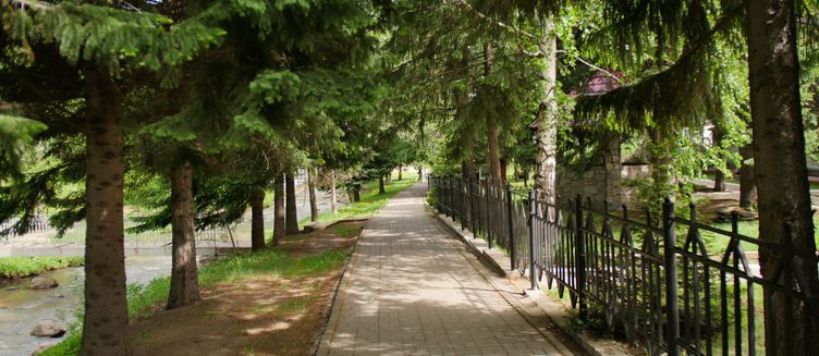 Фото отеля Старые друзья