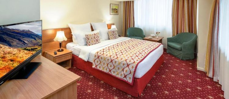 Фото отеля Ani Plaza Hotel