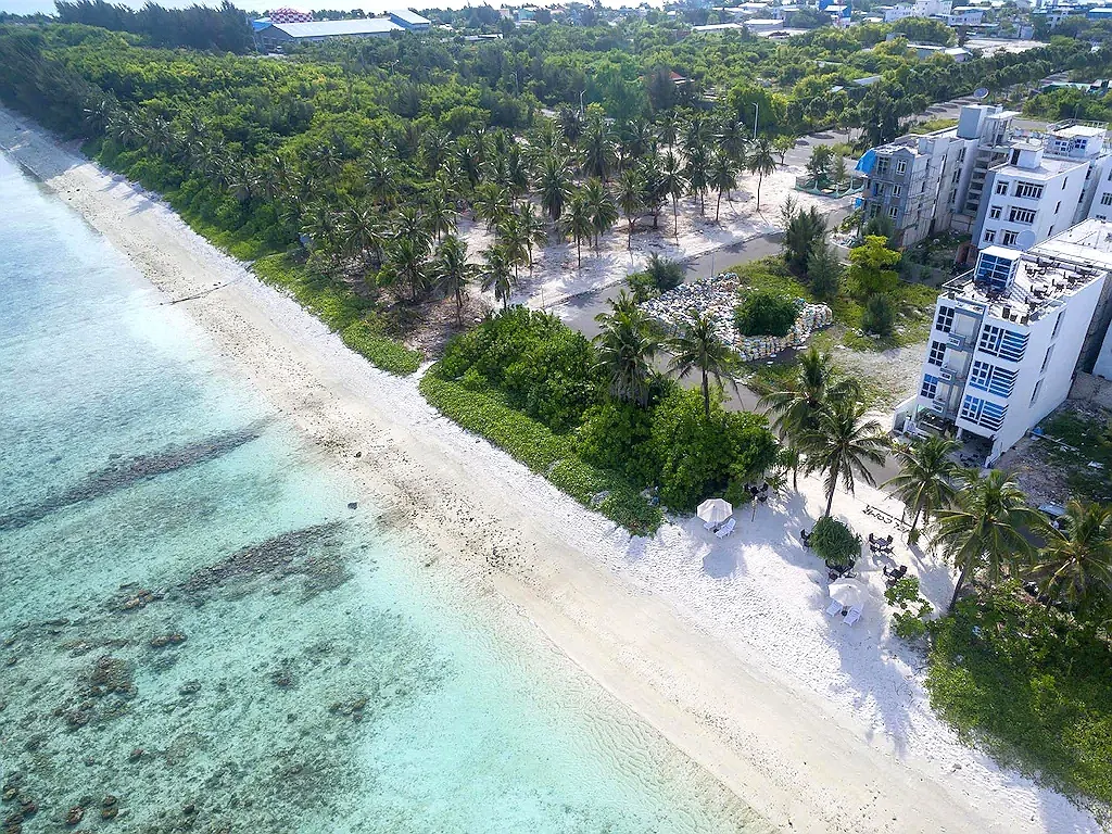 Guest House «The White Harp Beach Guest House» фото 1