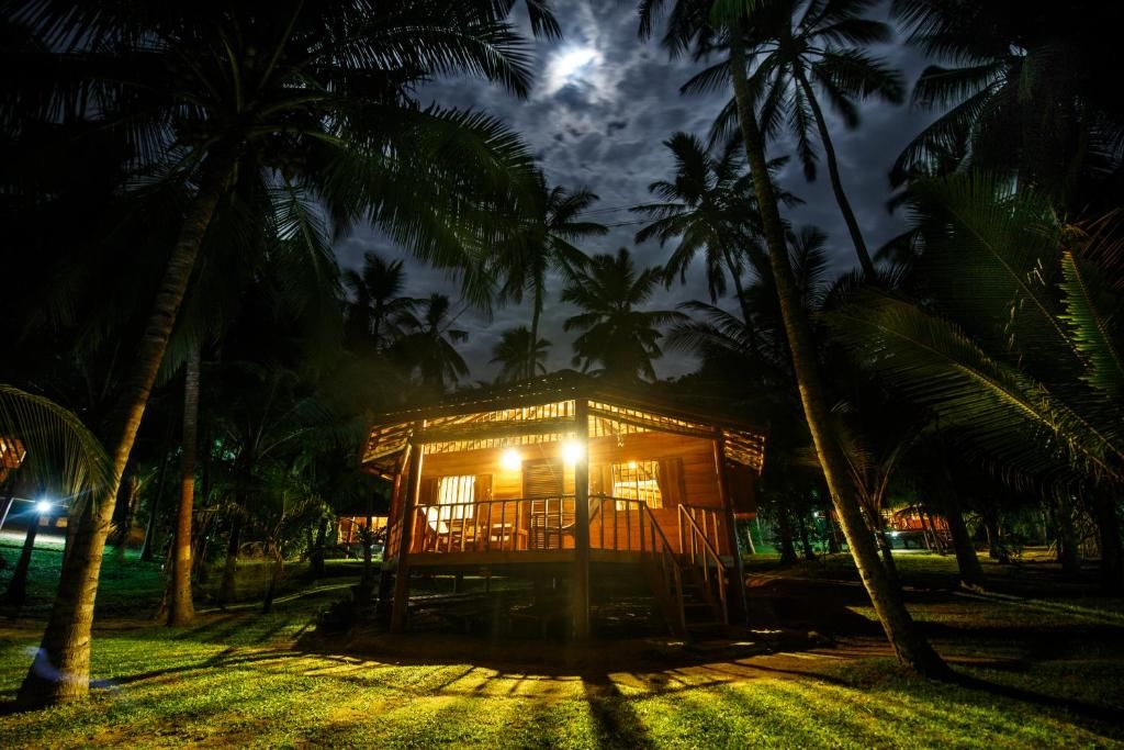Palm Paradise Cabanas & Villas фото 41