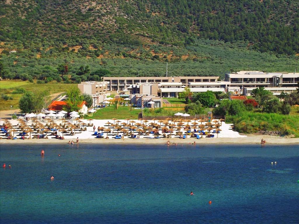 ALEA Hotel & Suites фото 23