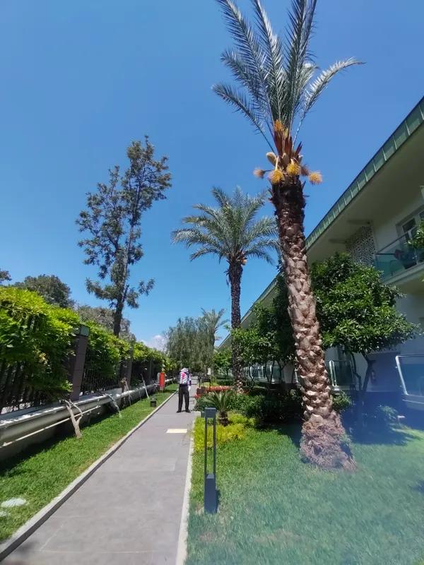 Corendon Playa Kemer фото 68