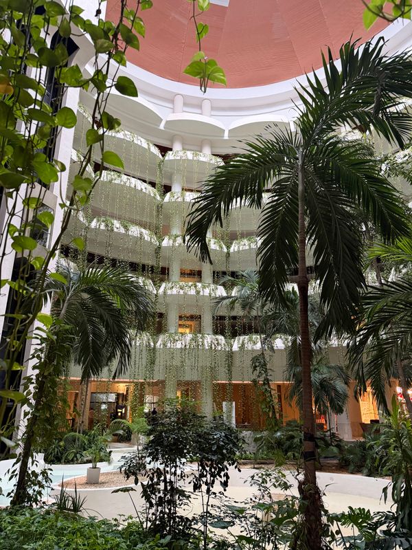 Melia Varadero фото 47