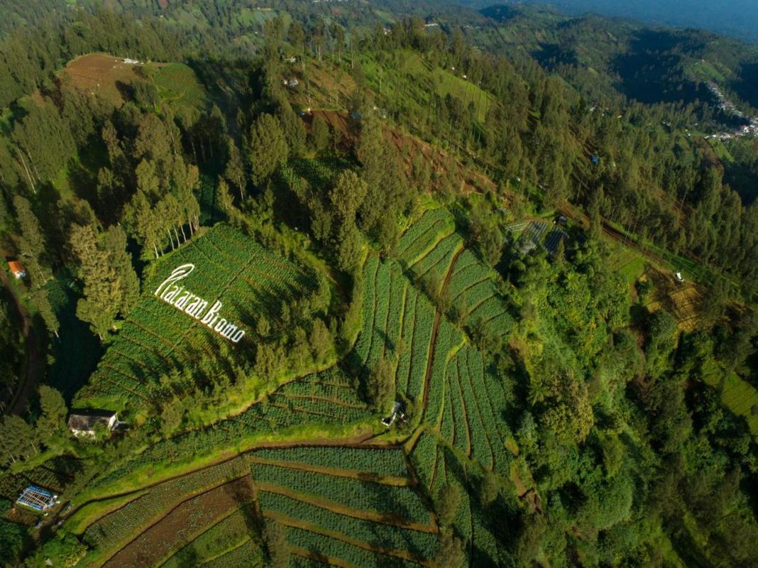 Plataran Bromo фото 20