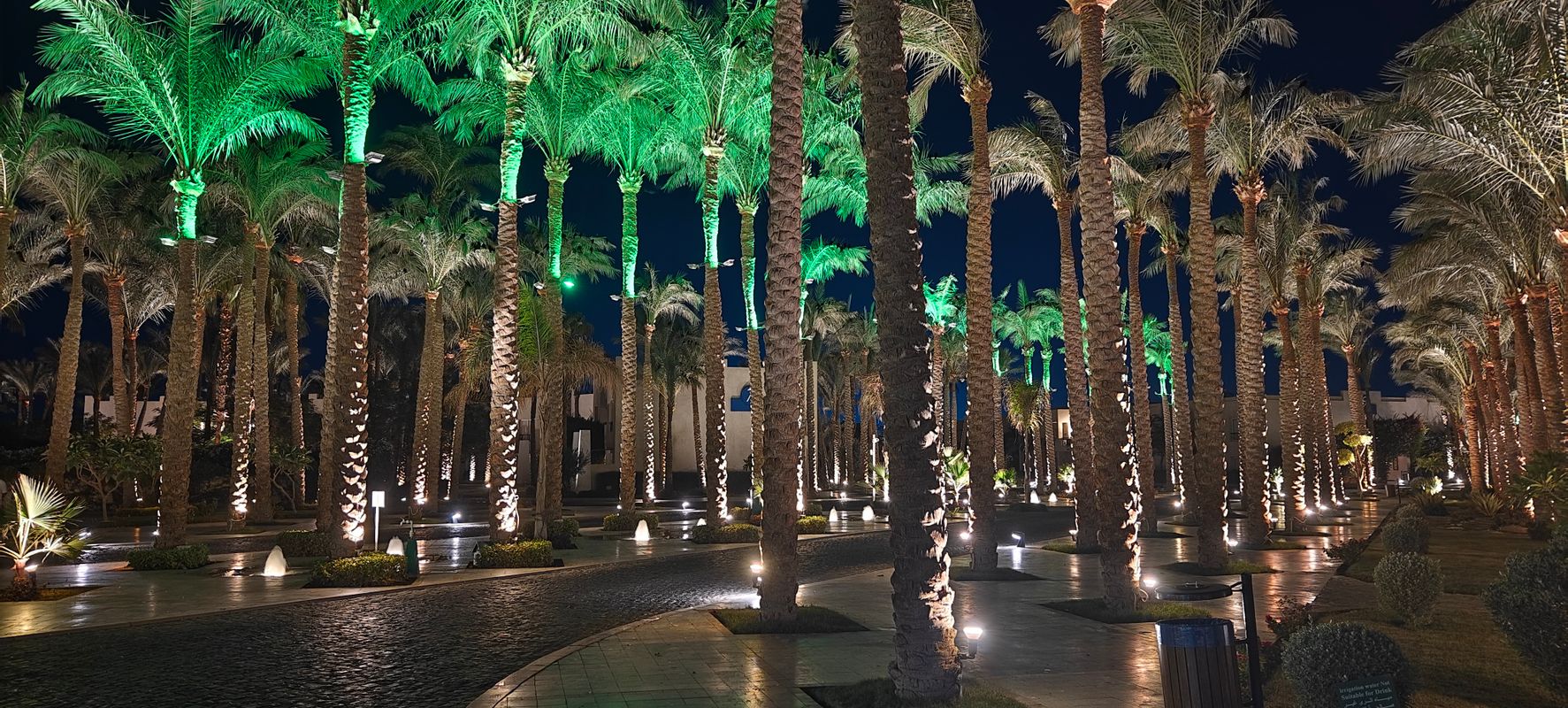 Grand Rotana Resort & Spa фото 84