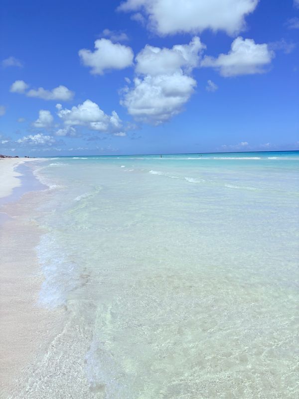 Blau Varadero (Adults Only) фото 37