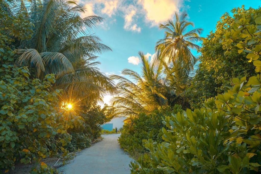 Rahaa Resort фото 46