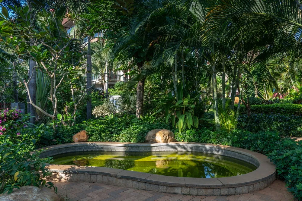Argyle Yalong Bay Resort фото 40