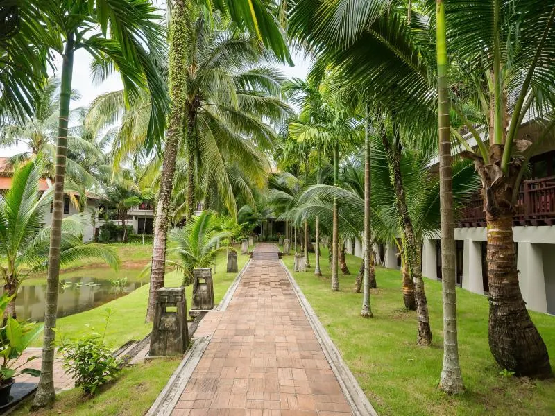 Khaolak Laguna Resort - SHA Extra Plus фото 20
