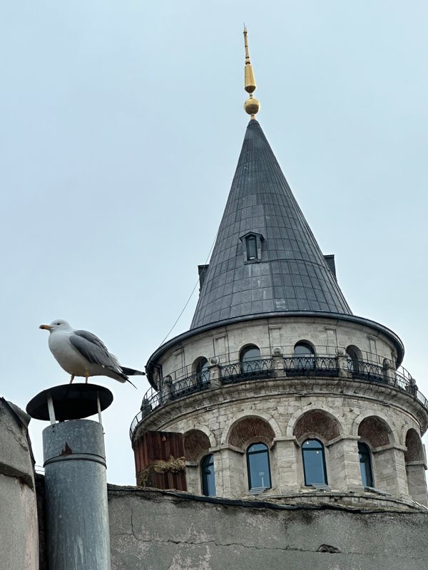 Galatower Hotel фото 14