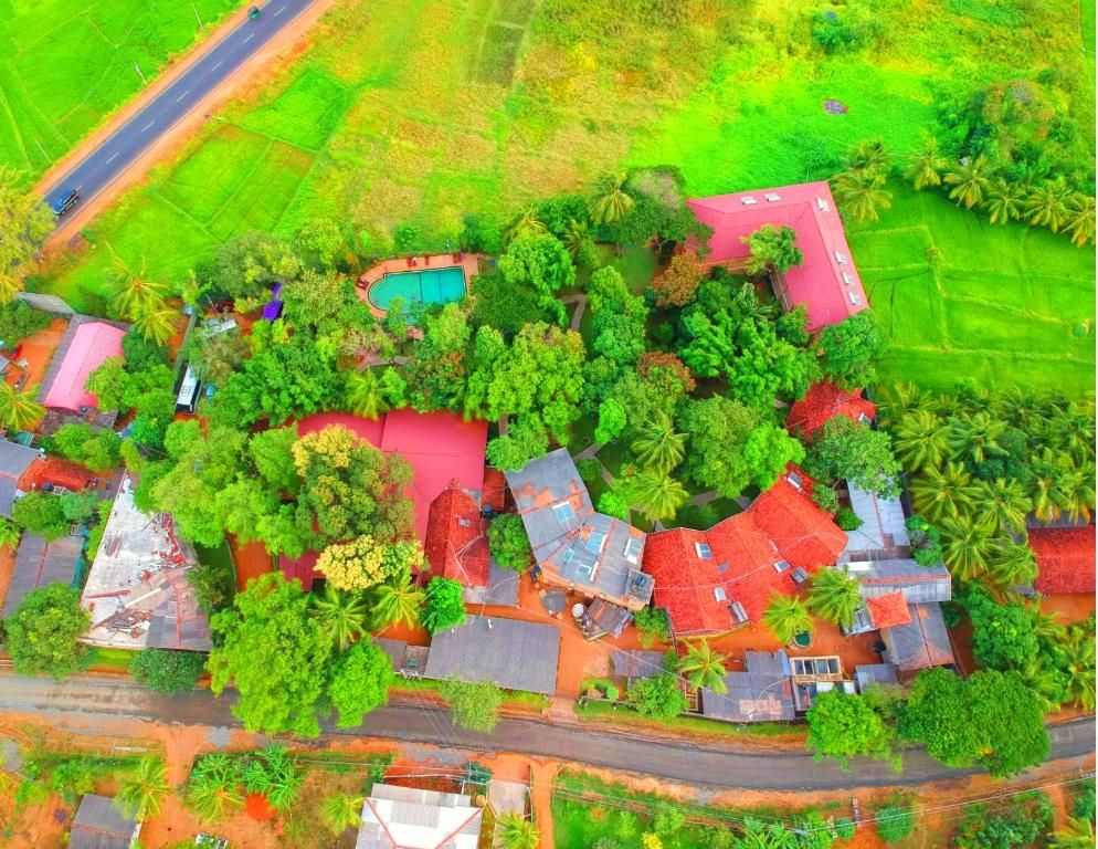 Pelwehera Village Resort фото 31