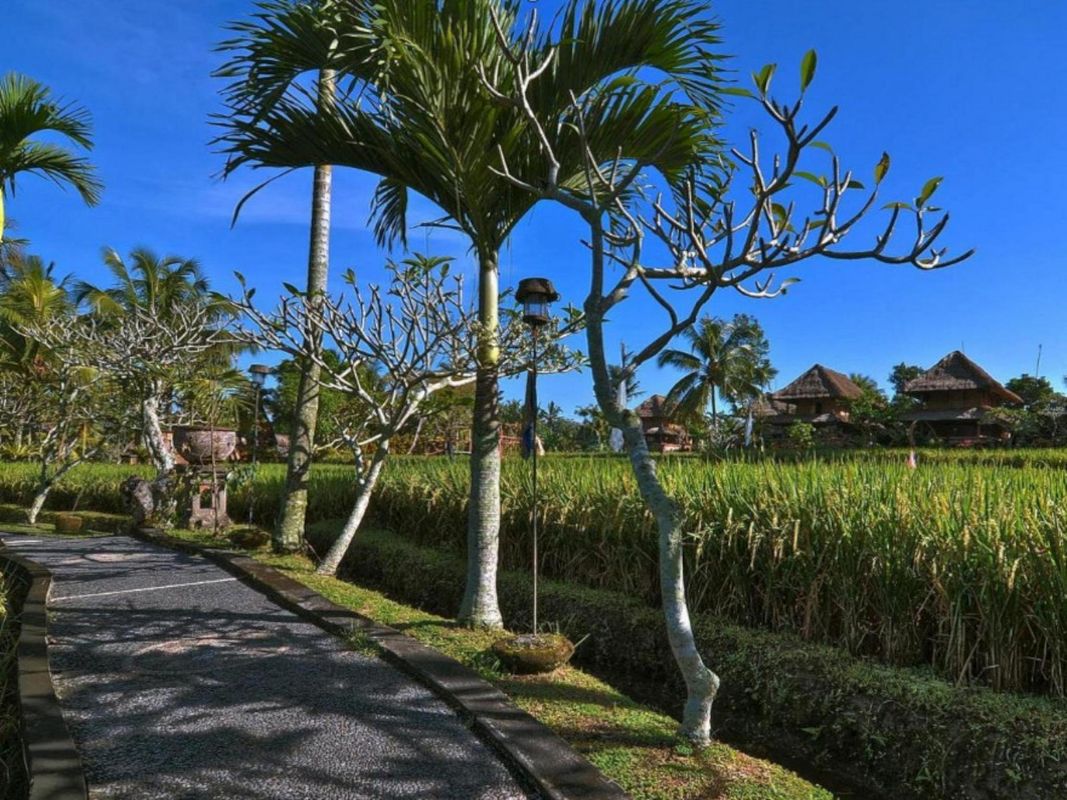Amatara Agung Raka фото 5