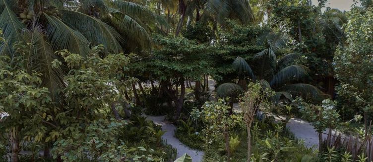 Фото отеля Ecoboo Maldives