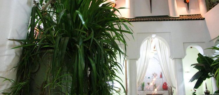 Фото отеля Riad Alida