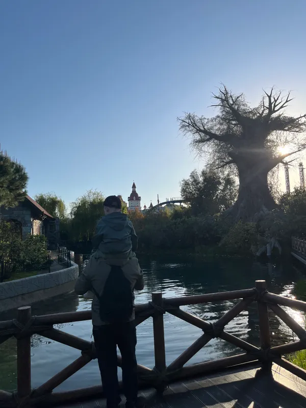 Оздоровительный комплекс «Сочи Парк Отель» фото 86