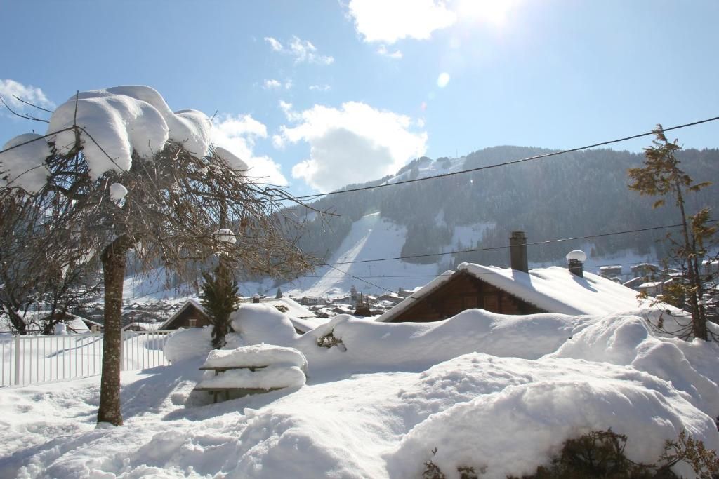 L'Ours Blanc фото 23