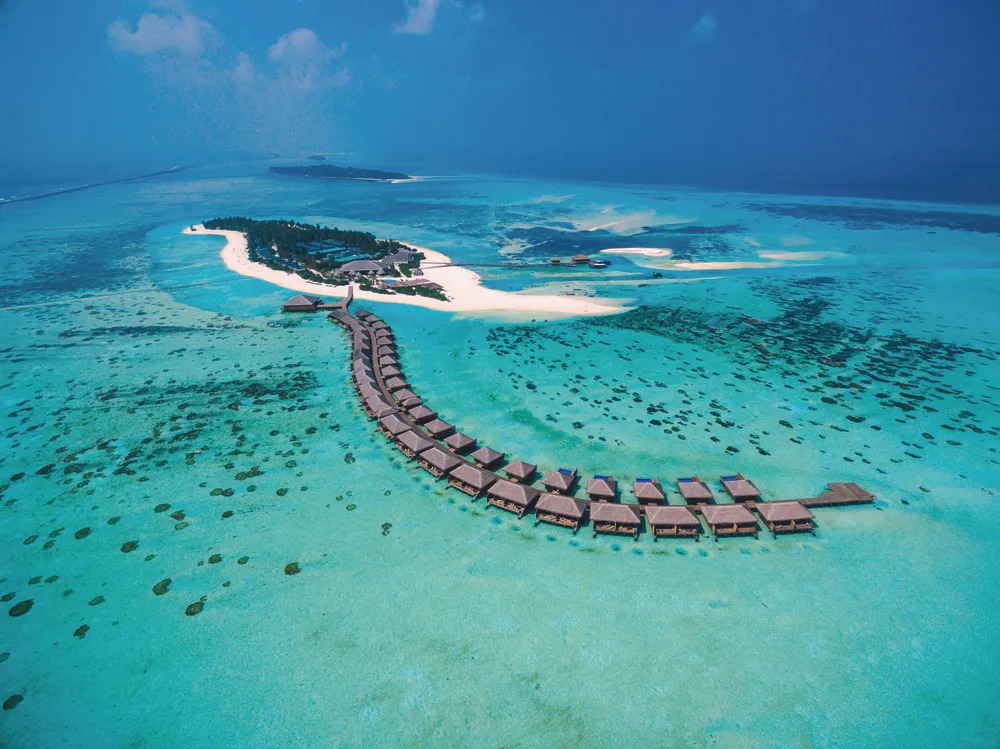Cocoon Maldives фото 32