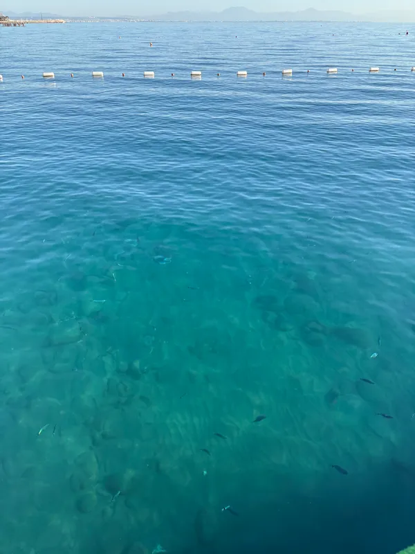 Corendon Playa Kemer фото 84