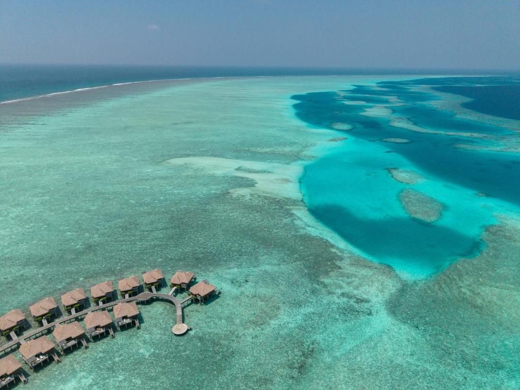 Melia Whale Lagoon Maldives фото 83