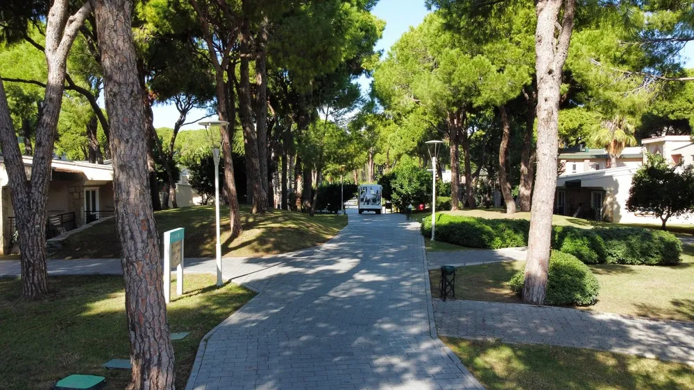 Pine Beach Belek фото 187