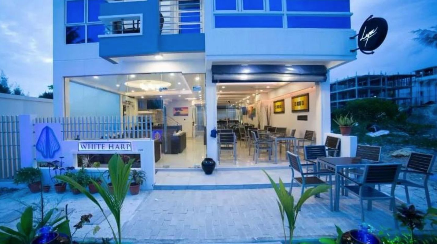 Guest House «The White Harp Beach Guest House» фото 7