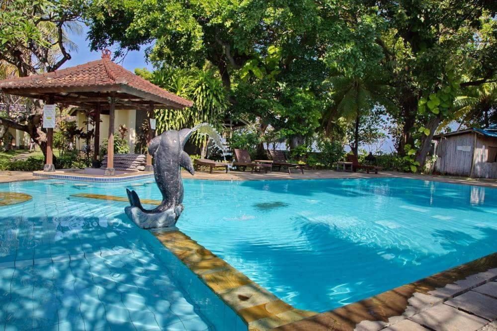 Bali Lovina Beach Cottage фото 30