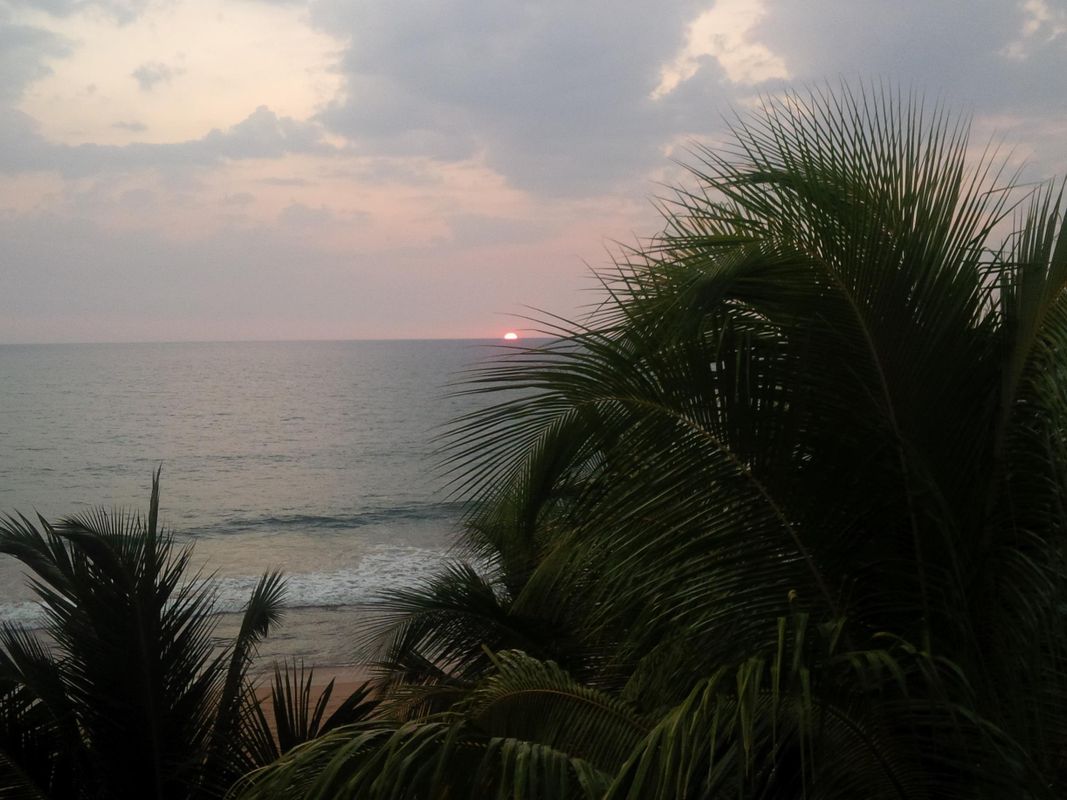 Royal Beach Resort фото 13