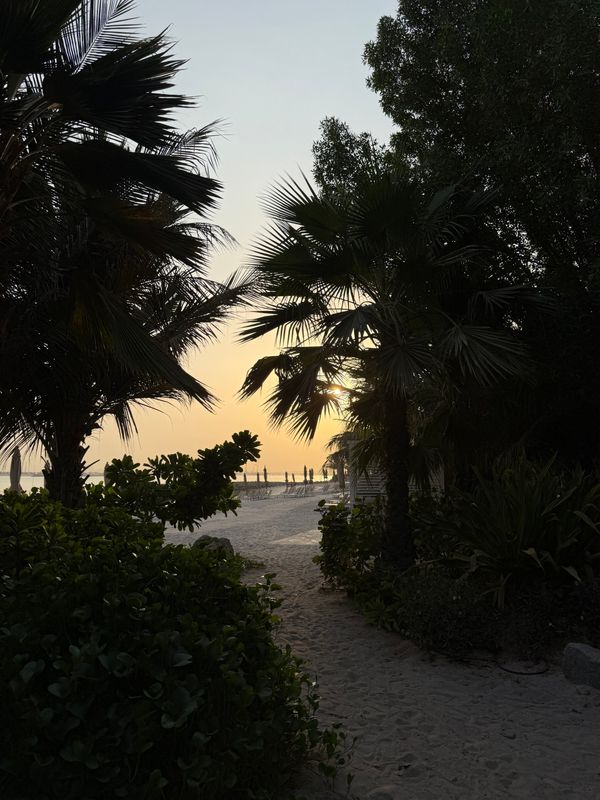 Movenpick Resort Al Marjan Island фото 75