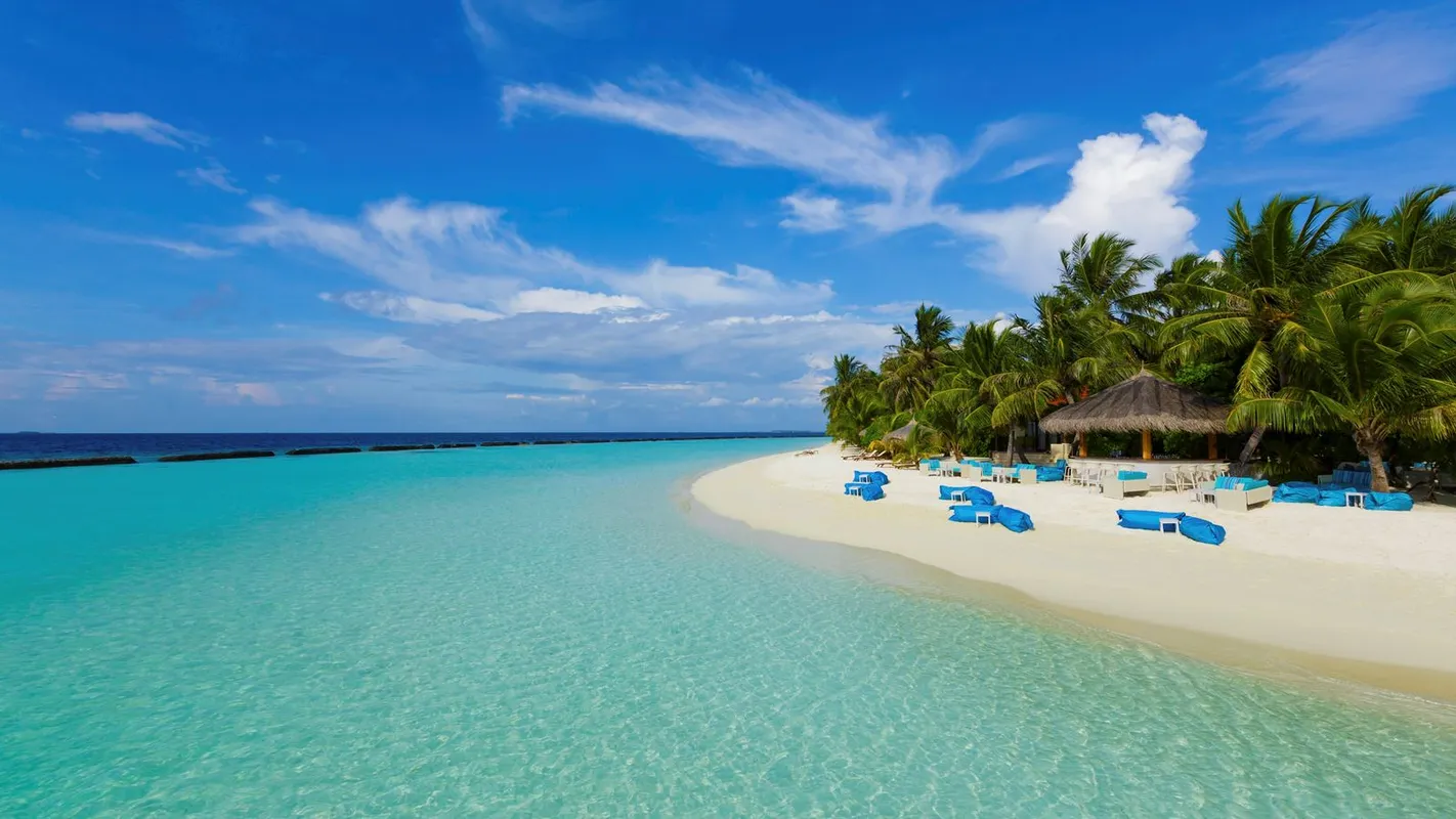 Niva Kurumba Maldives фото 32