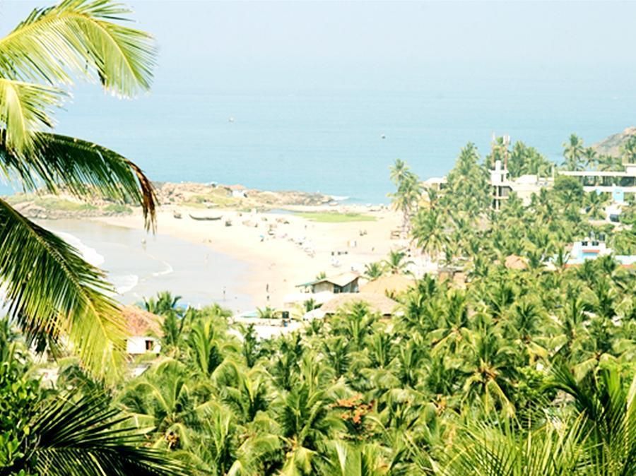 The Ocean Park Beach Resort фото 4